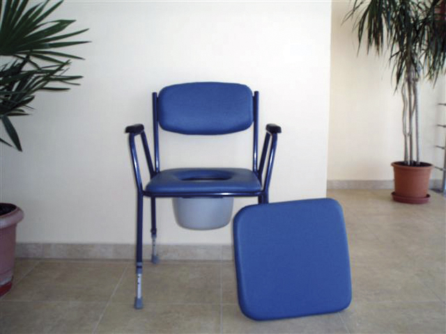 Otra imagen de Silla tapizada con inodoro 